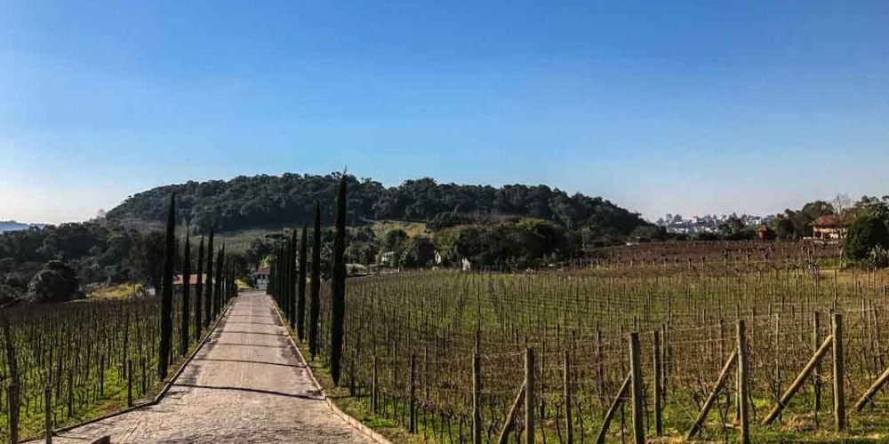 Almaúnica no Vale dos Vinhedos em Bento Gonçalves