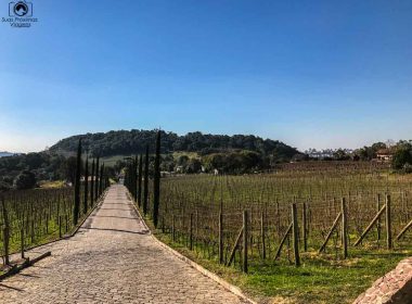 Almaúnica no Vale dos Vinhedos em Bento Gonçalves