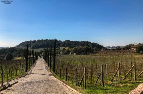 Almaúnica no Vale dos Vinhedos em Bento Gonçalves