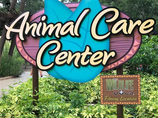 Animal Care Center no Busch Garden em Tampa