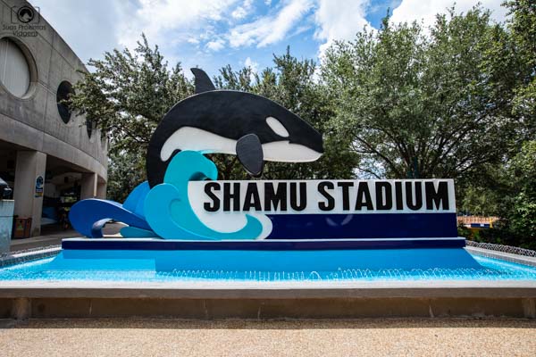 Shame Stadium no Seaworld em o que fazer em Orlando