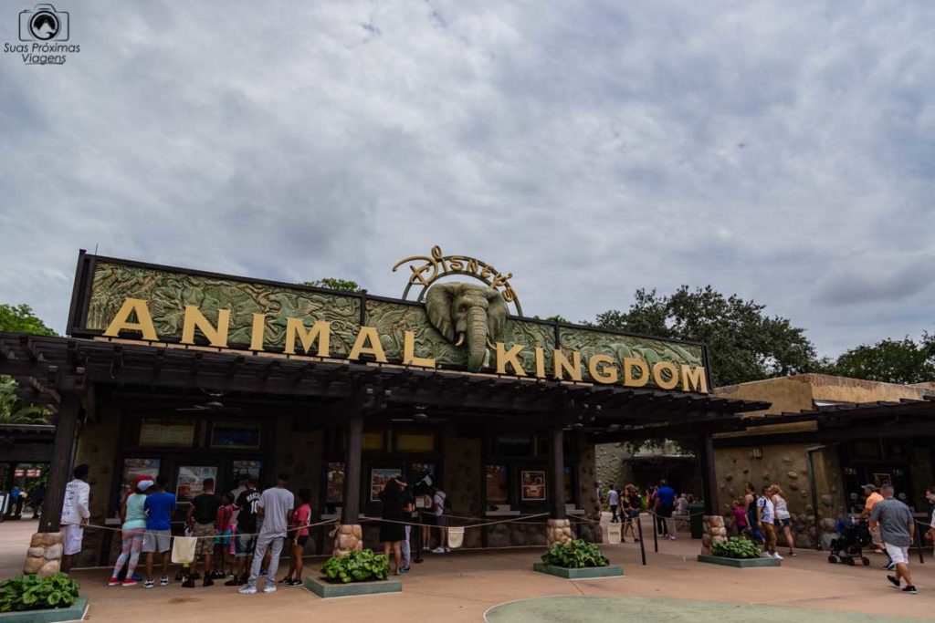 Animal Kingdom em O que fazer em Orlando