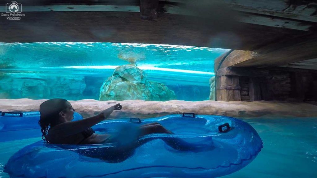 Loggerhead Lane no Aquatica Orlando