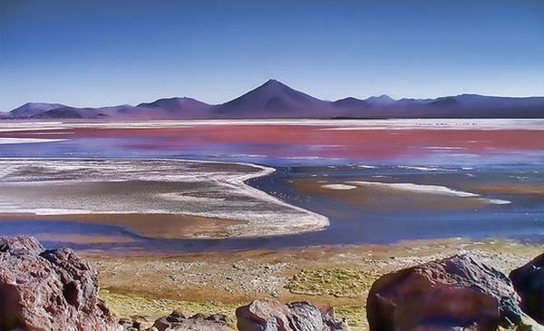 Foto da Laguna Colorada na Bolivia