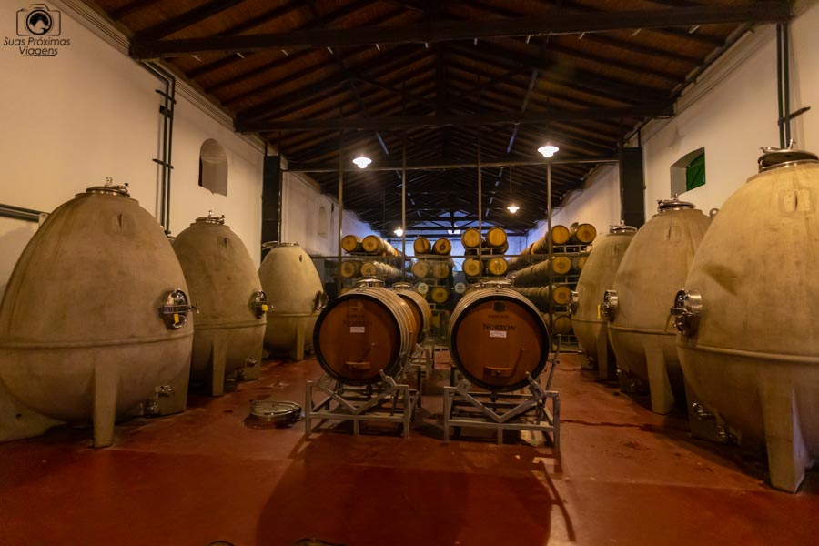 Imagem dos "Ovos" de maturação dos vinhos Norton em Mendoza