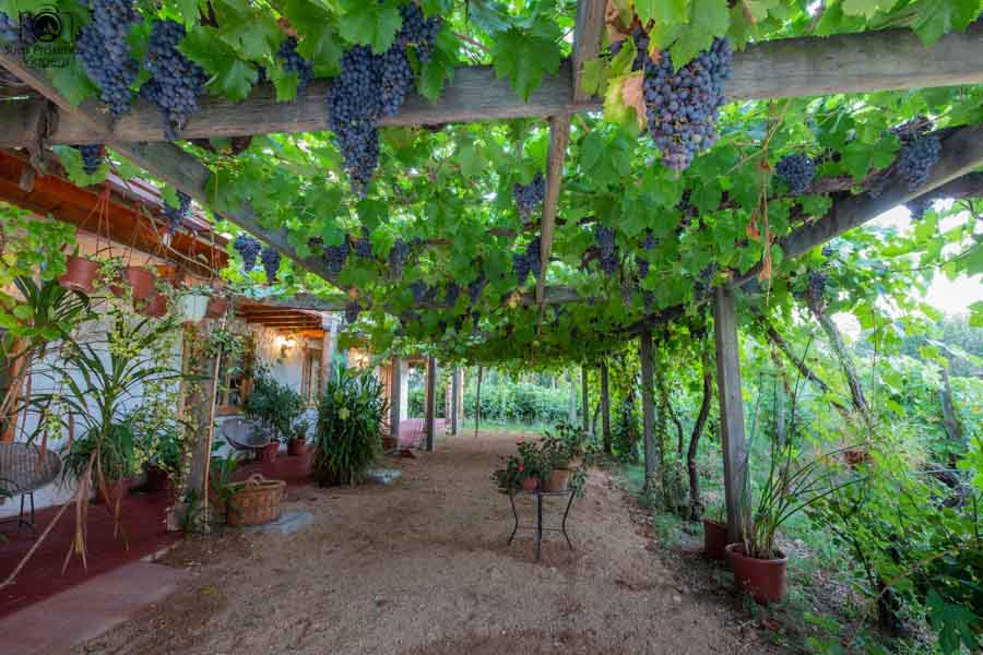 imagem da varanda do hotel parronales em valle de colchagua