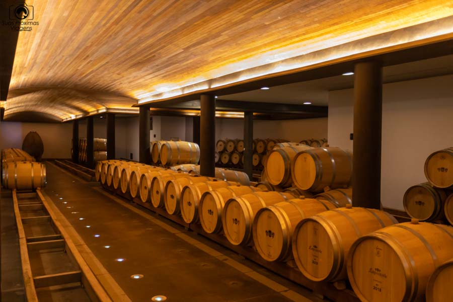 Imagem dos barris de amadurecimento do clos apalta um dos melhores vinhos chilenos