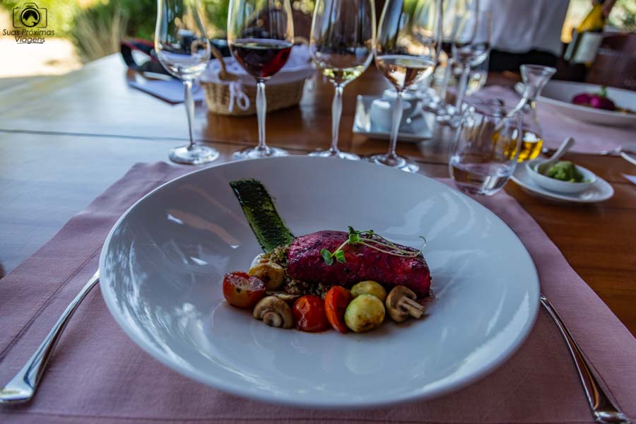 imagem do prato principal do almoço do restaurante clos apalta no vale de colchagua