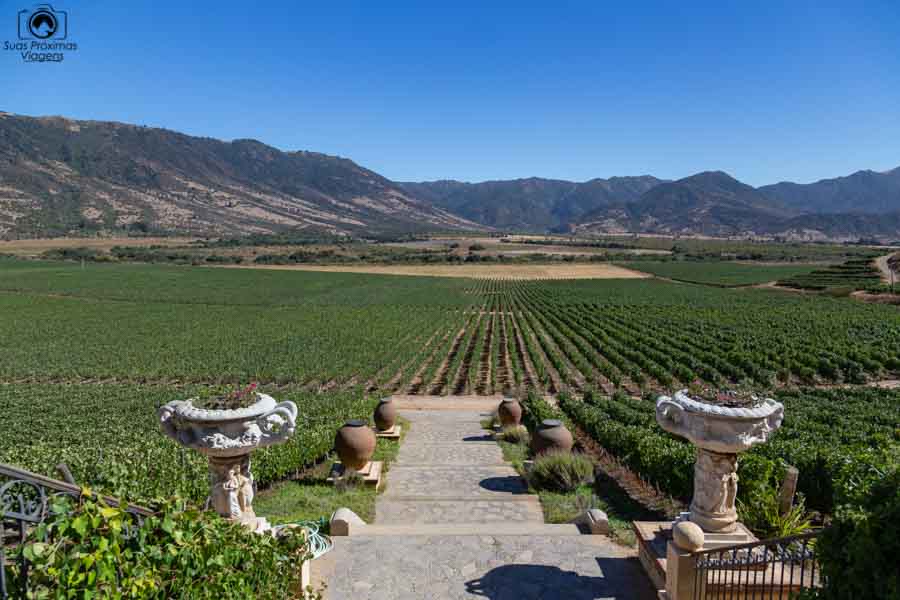 imagem da vinícola Santa Cruz nos melhores vinhos chilenos