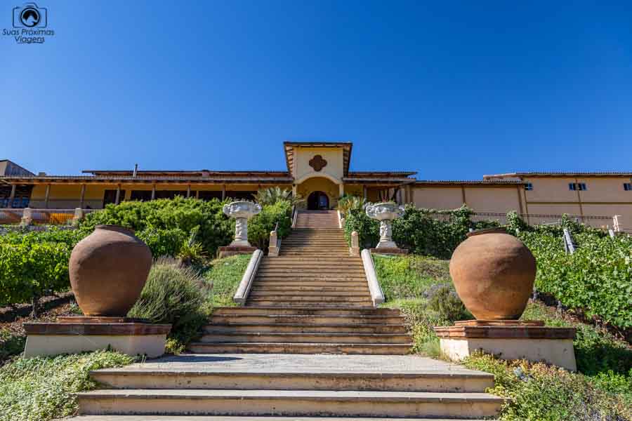 imagem da vinícola Santa Cruz nos melhores vinhos chilenos