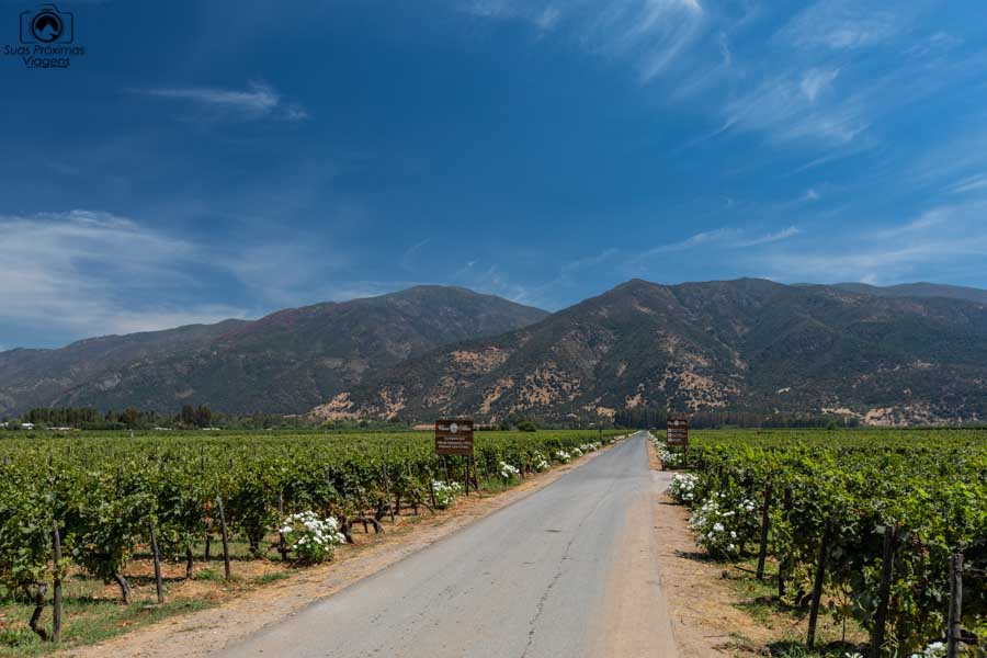 Imagem do acesso aos parreirais da Casa Silva em Vale de Colchagua