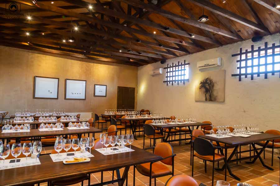 Imagem da área de degustação da viña Viu Manent em Valle de Colchagua