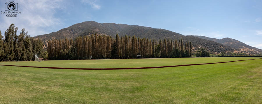 imagem do campo de polo da viña
