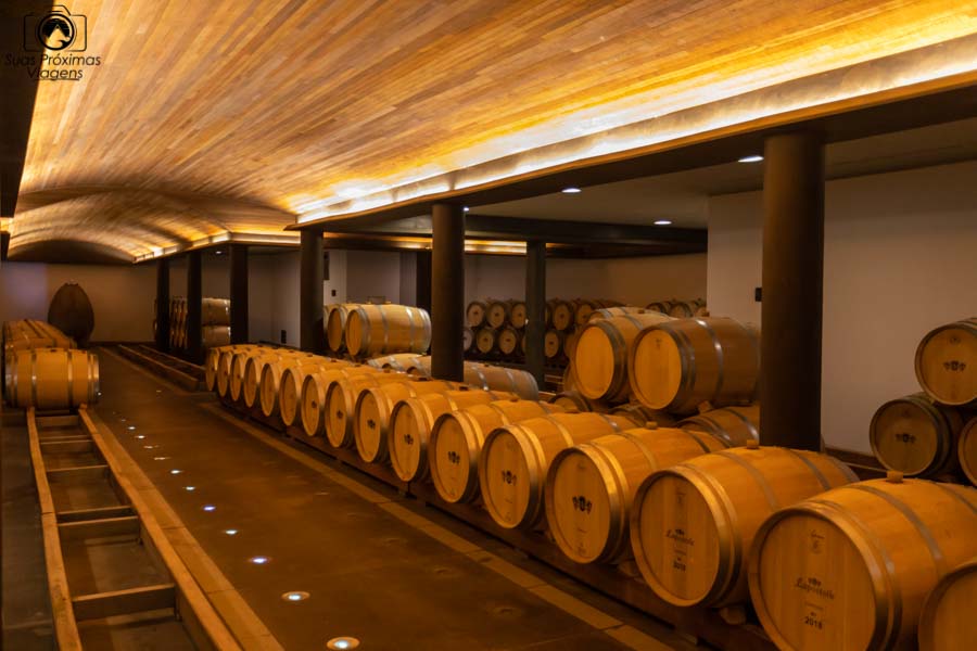 imagem da área de envelhecimento dos Clos Apalta