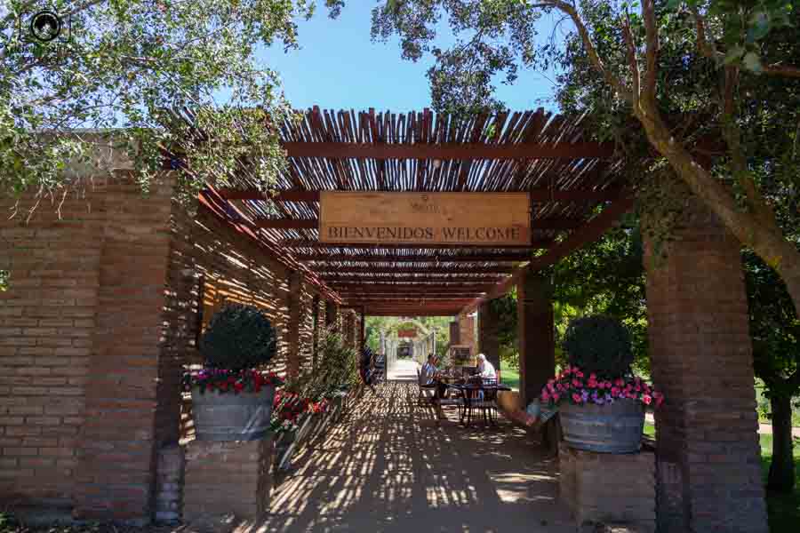 imagem da entrada do empório na Viña Matetic